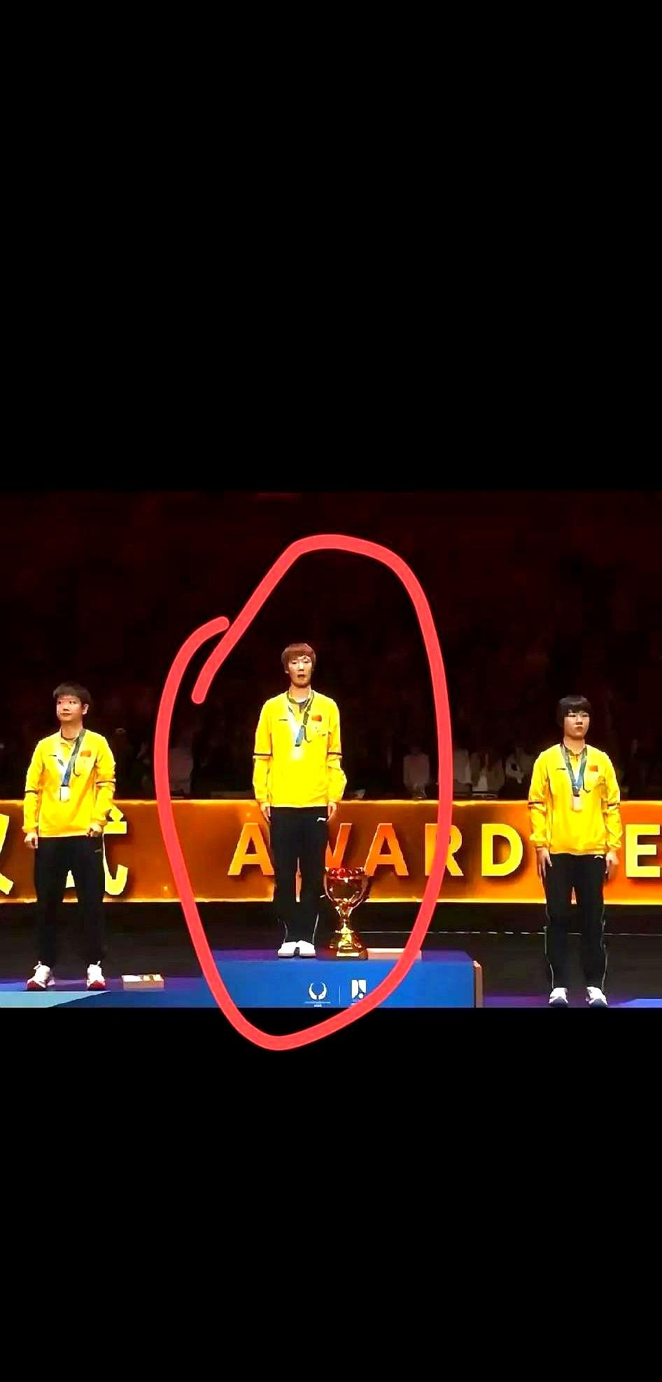 队友默契配合,共同摘得桂冠的简单介绍 队友默契配合,共同摘得桂冠的简单介绍